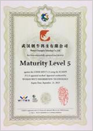 CMMI5认证证书